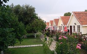 Nova Beach Hotel